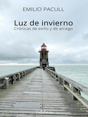 cover image of Luz de invierno
